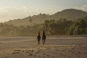 voyage_sur_mesure_indonesie_bali_sumba_nihi sumba_Puncak-only-for-you-travel-designer