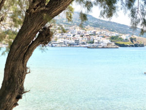 Andros Batsi Voyage Sur Mesure Only For You Grece Cyclades