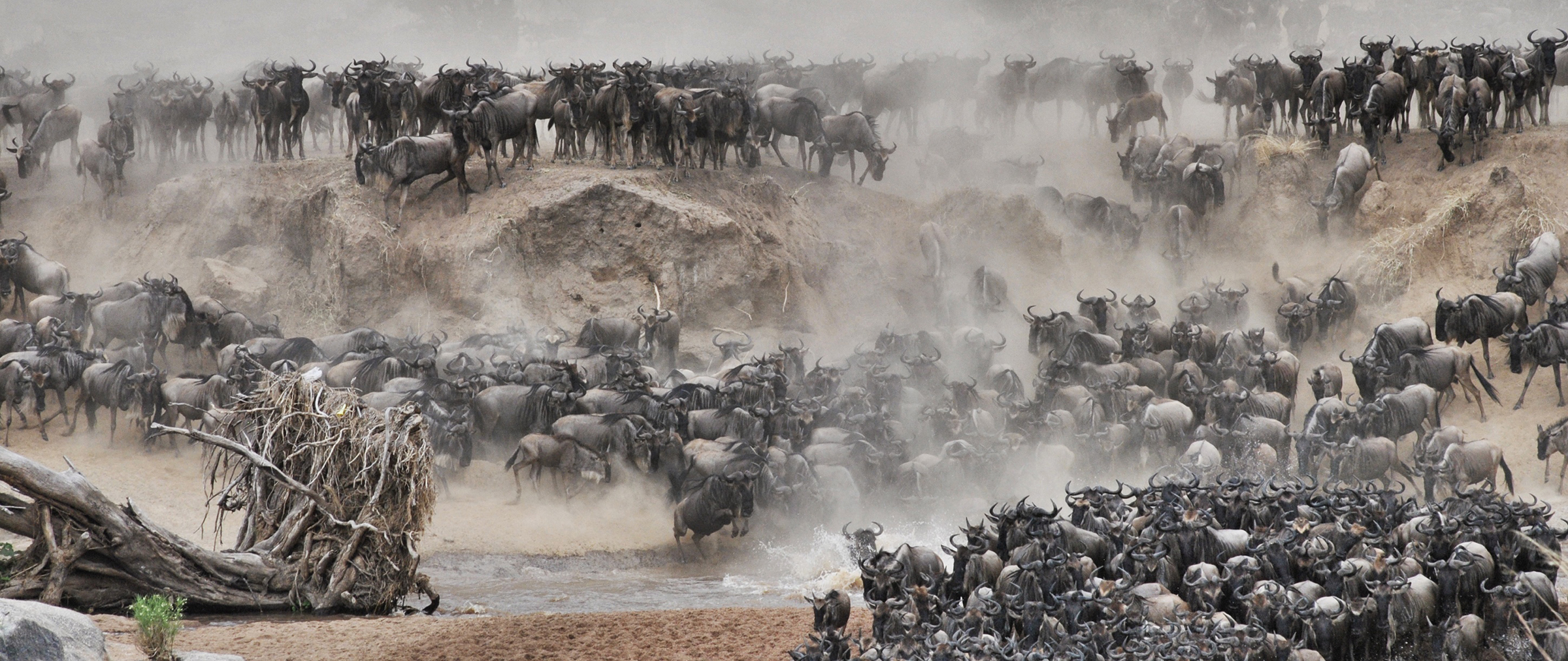 Serian_Serengeti_North_Safari-luxe