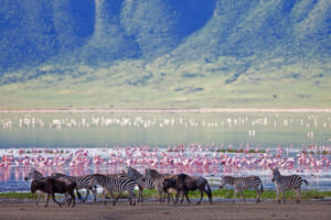 Tanzanie_Ngorongoro_Luxe
