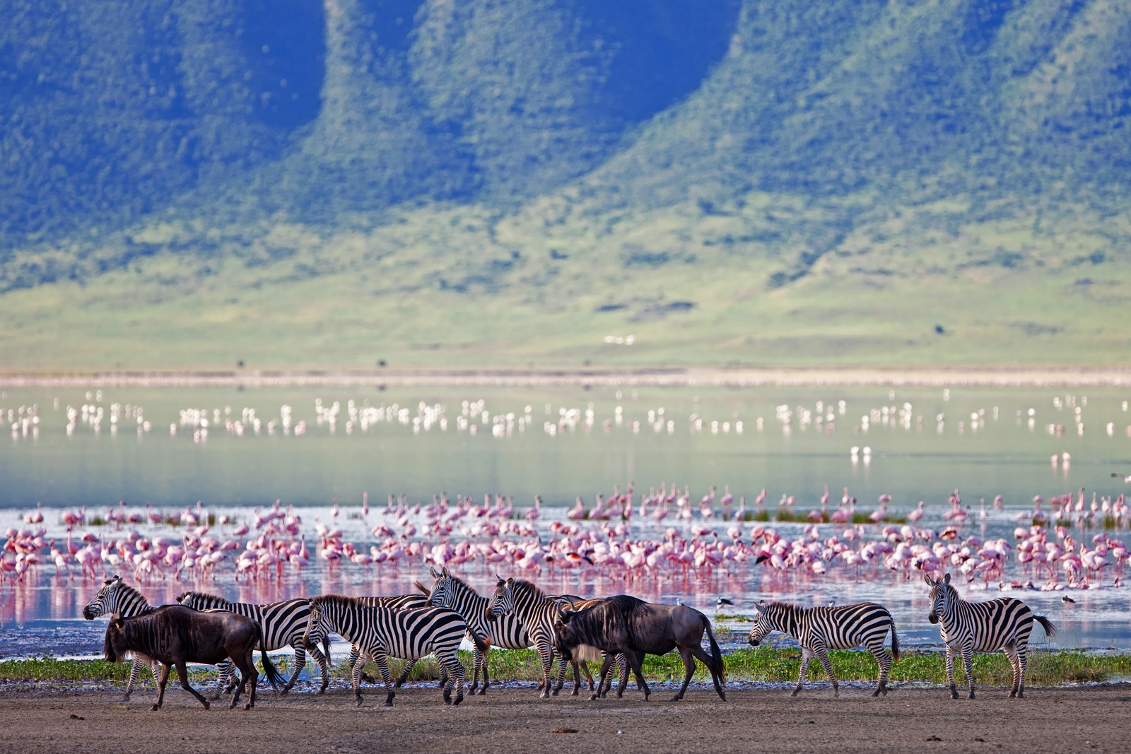 Tanzanie_Ngorongoro_Luxe
