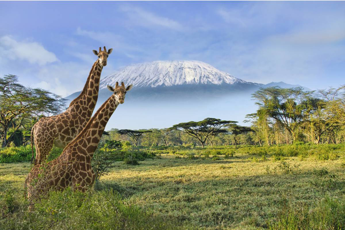 thierry-kenya-ambosleli-only-for-you